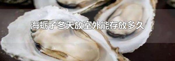 海蛎子冬天放室外能存放多久