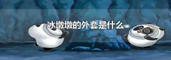 冰墩墩的外套是什么