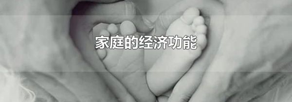 家庭的经济功能