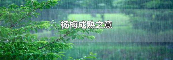 杨梅成熟之意