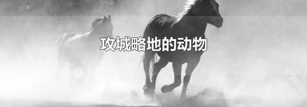 攻城略地的动物