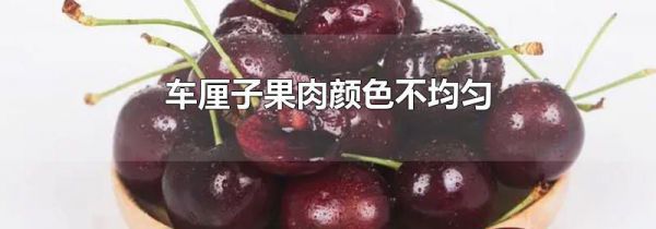 车厘子果肉颜色不均匀