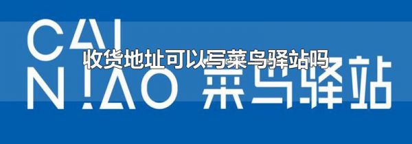 收货地址可以写菜鸟驿站吗