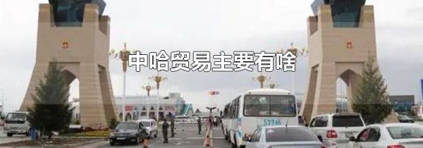 中哈贸易主要有啥