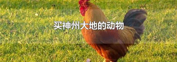 买神州大地的动物