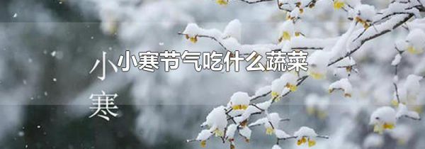 小寒节气吃什么蔬菜