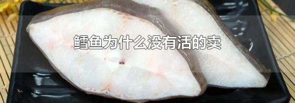 鳕鱼为什么没有活的卖