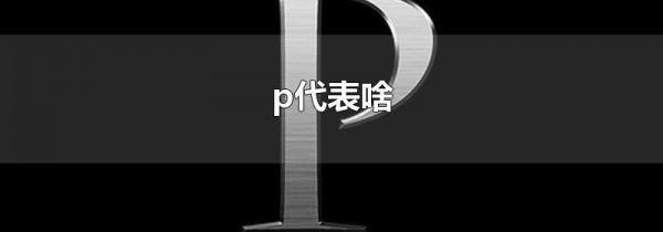 p代表啥