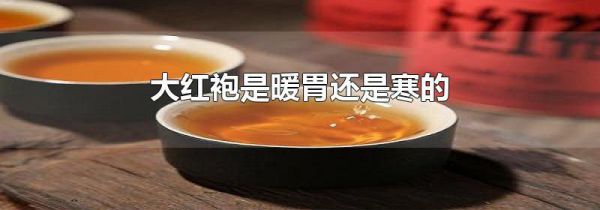 大红袍是暖胃还是寒的