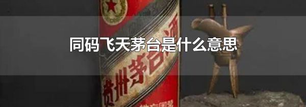 同码飞天茅台是什么意思