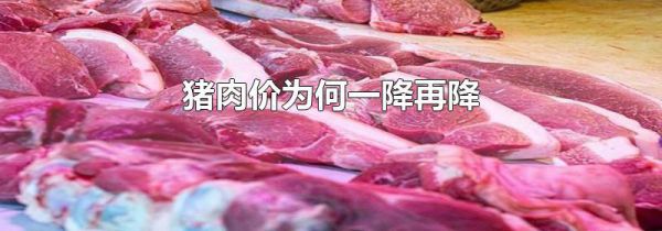 猪肉价为何一降再降