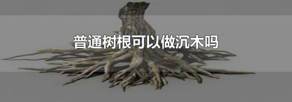 普通树根可以做沉木吗