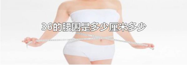 36的腰围是多少厘米多少
