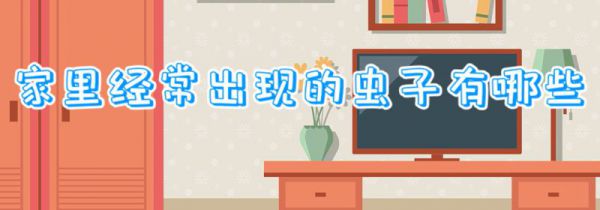 家里经常出现的虫子有哪些