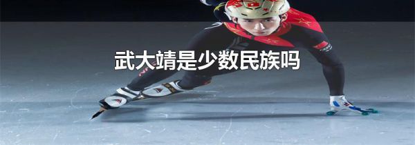 武大靖是少数民族吗