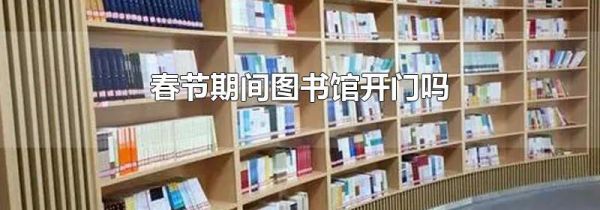 春节期间图书馆开门吗