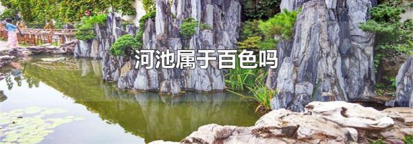 河池属于百色吗