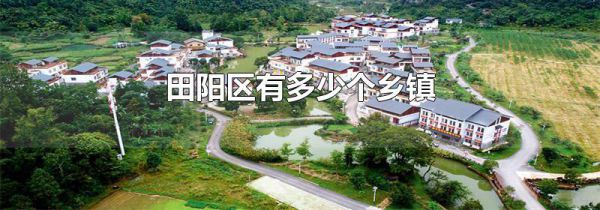 田阳区有多少个乡镇