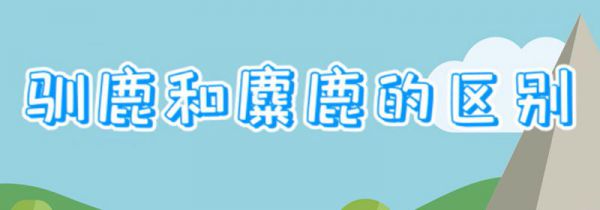 驯鹿和麋鹿的区别