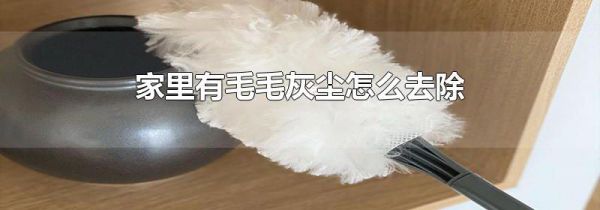 家里有毛毛灰尘怎么去除