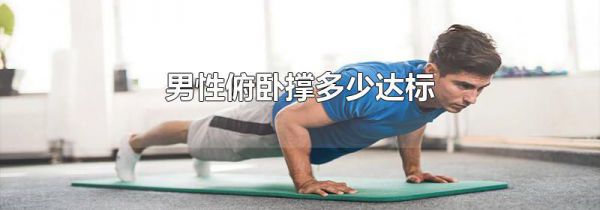 男性俯卧撑多少达标