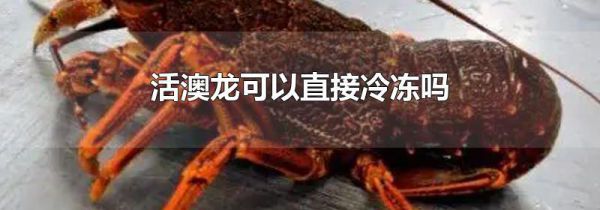 活澳龙可以直接冷冻吗