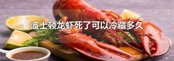 波士顿龙虾死了可以冷藏多久