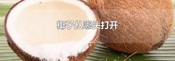 椰子从哪头打开