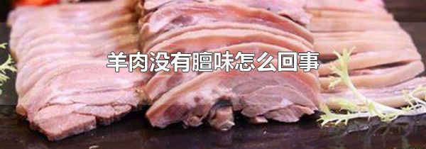 羊肉没有膻味怎么回事