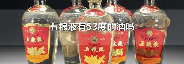 五粮液有53度的酒吗