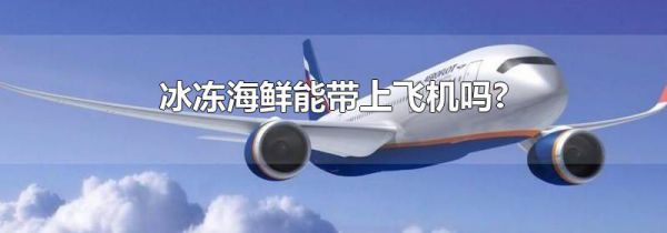 冰冻海鲜能带上飞机吗?