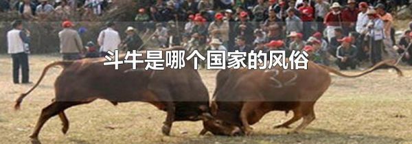 斗牛是哪个国家的风俗