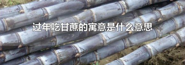 过年吃甘蔗的寓意是什么意思