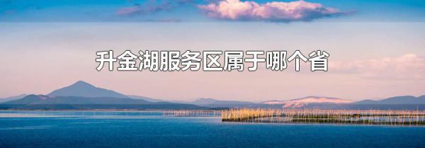 升金湖服务区属于哪个省