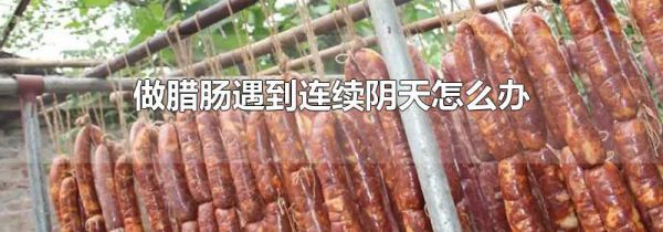 做腊肠遇到连续阴天怎么办
