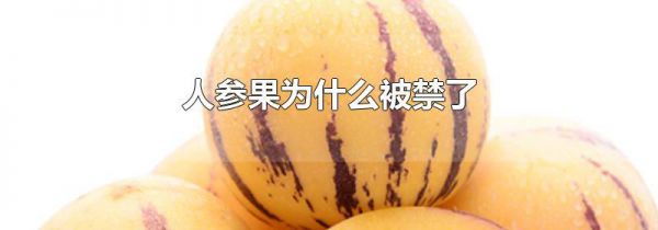 人参果为什么被禁了