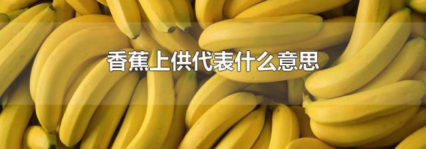香蕉上供代表什么意思