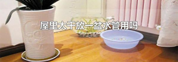 屋里太干放一盆水管用吗