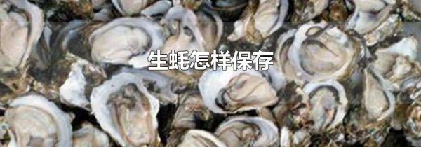 生蚝怎样保存