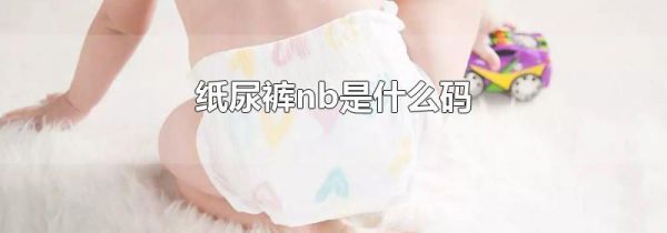 纸尿裤nb是什么码
