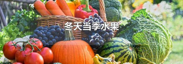 冬天当季水果