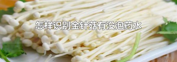 怎样识别金针菇有没泡药水
