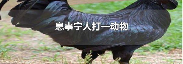 息事宁人打一动物