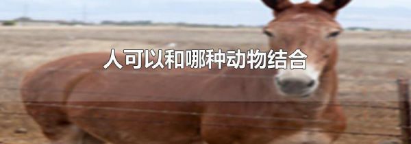 人可以和哪种动物结合