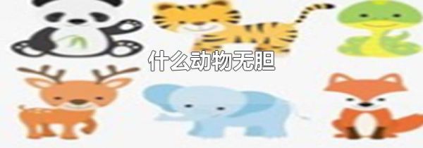 什么动物无胆