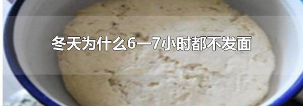 冬天为什么6一7小时都不发面