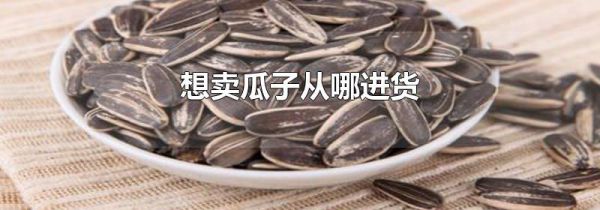 想卖瓜子从哪进货