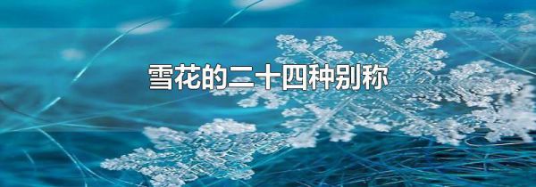 雪花的二十四种别称