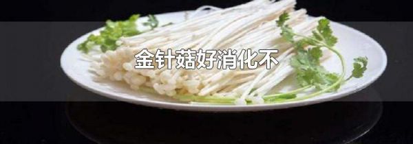 金针菇好消化不
