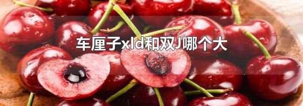 车厘子xld和双J哪个大